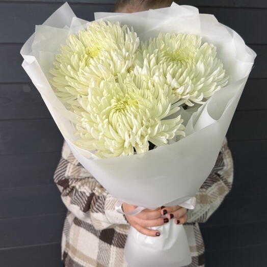 3 одноголовые хризантемы