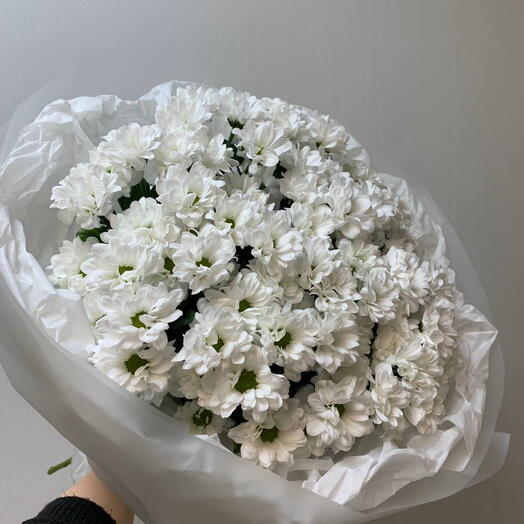 Ромашковое поле