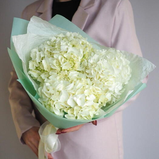 Чистая лазурь с гортензией