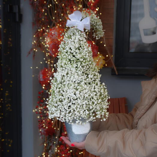 Снежная сказка