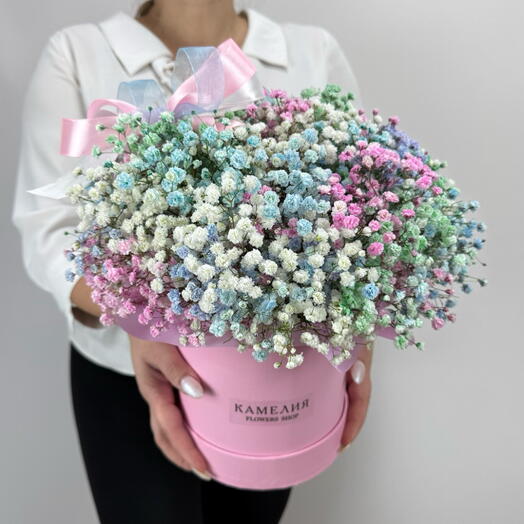 Радужная гипсофила в подарочной коробке 🤍 Камелия Flowers Shop