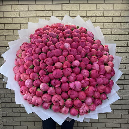 Букет из 151 пиона
