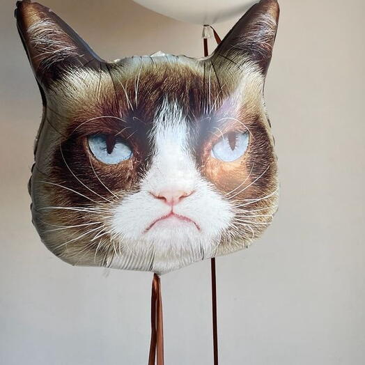 Фигура, Сердитая кошка