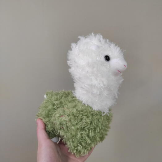 Green lama 24 cm