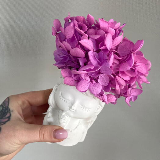 Стабилизированная гортензия 💜🦄