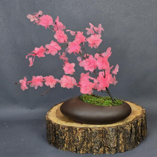 Весна в доме