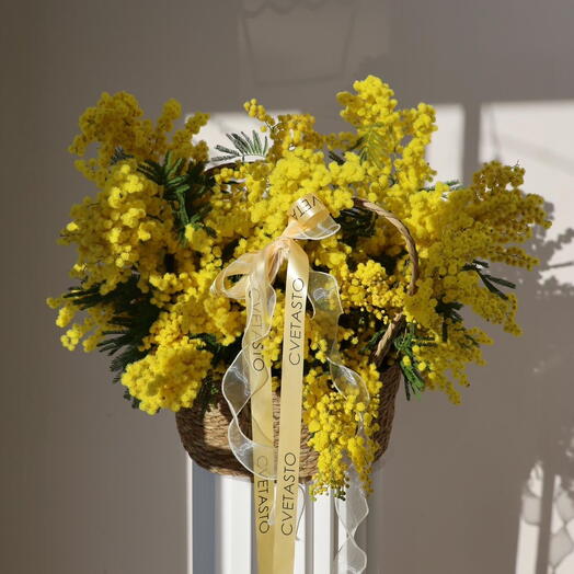 Корзина с мимозой L