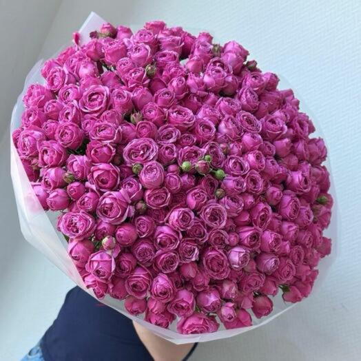 101 кустовая пионовидная роза 🌹