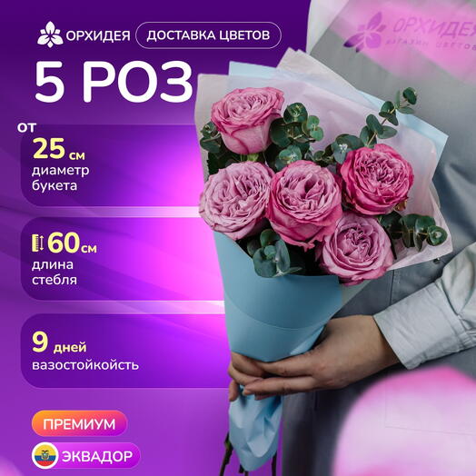 5 пионовидных роз Куинси с эвкалиптом