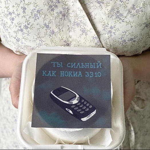Бенто торт мужчине на 23 февраля «ты сильный, как нокиа 3310»