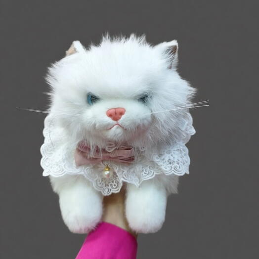 Белая кошка