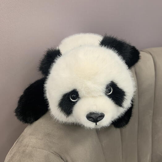 Панда 🐼