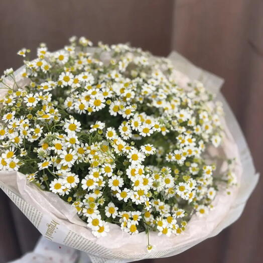 Букет ромашек