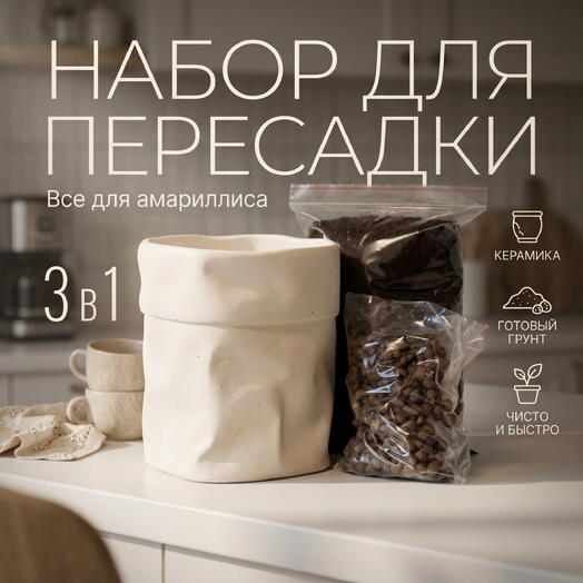Набор для выращивания и пересадки Амариллиса «Крафт-Бокс» (с дизайнерским кашпо)