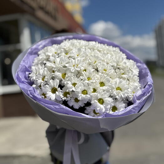 Моно букет из ромашки 15шт