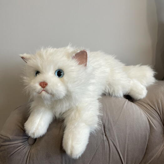 Плюшевый котик белый🤍