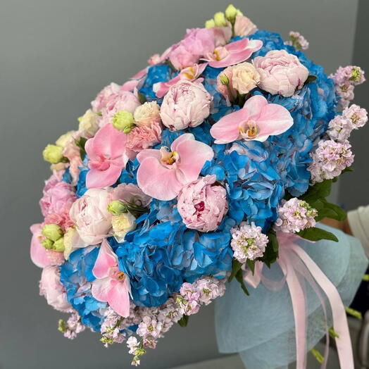 💙 Maison Azure Blush