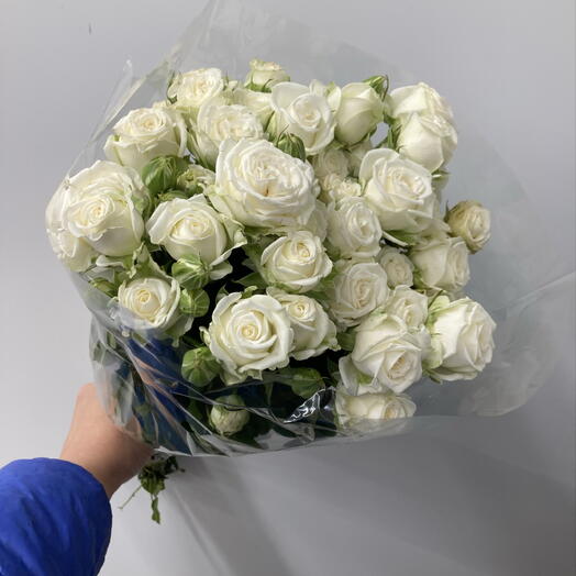 Роза кустовая Мисс Бомбастик 40 см, упаковка 10 штук