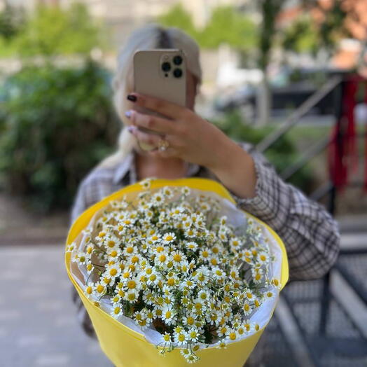 Ромашка мелкая