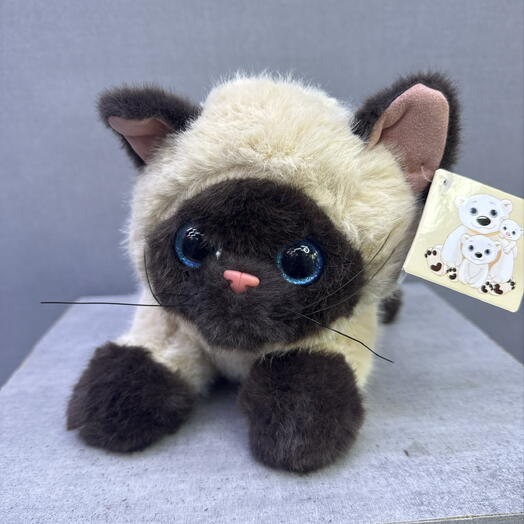 Сиамский кот 🐈‍⬛