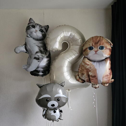 Шары кошка,котик, котенок на 2года сына,мальчика,дочки,девочки-4шара