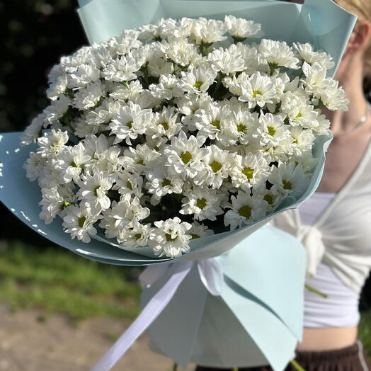 Летнее настроение ромашек  L 🌸