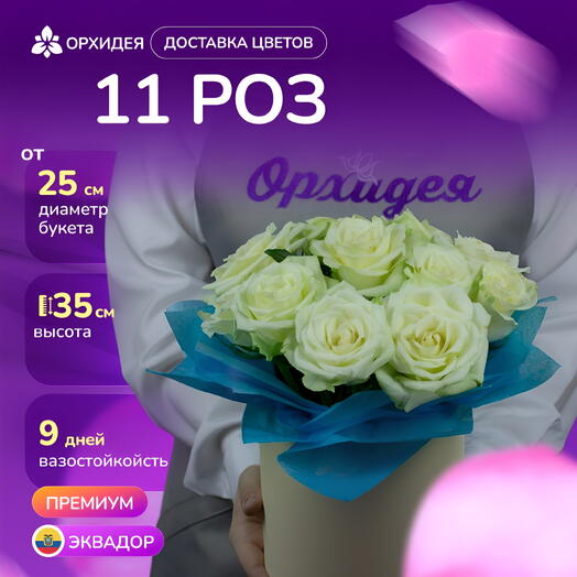 11 Роз белых 60 см в коробке