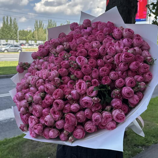 Пионовидная Роза 51