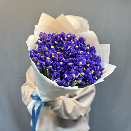 Ирисы 51 шт 💙