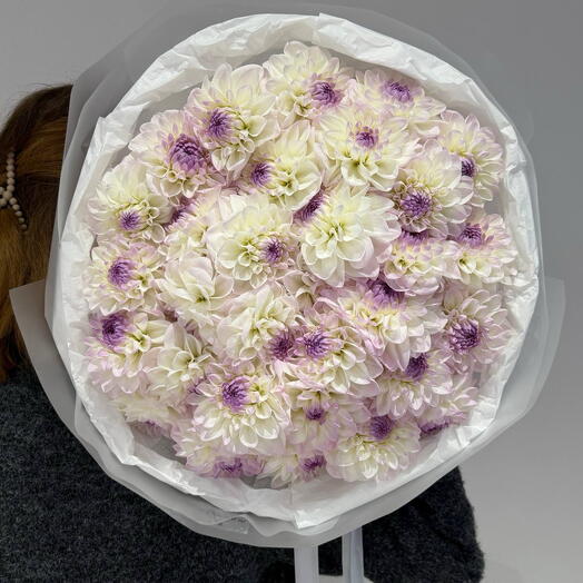 Монобукет из 31 георгина🌸