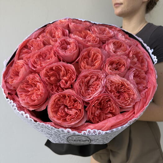 Coral   Lace Deluxe