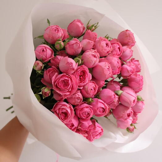 Rosy Mist