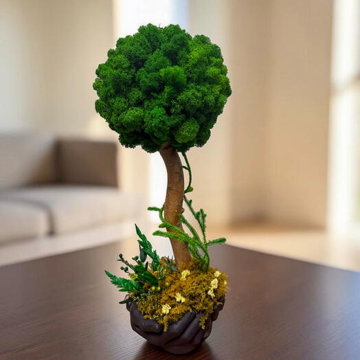  MossLaB