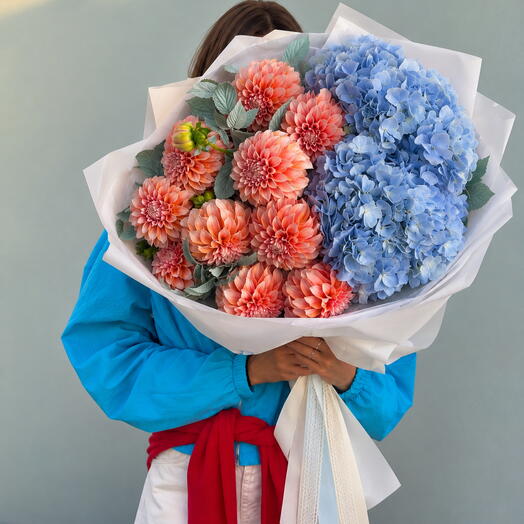hydrangea Muse
