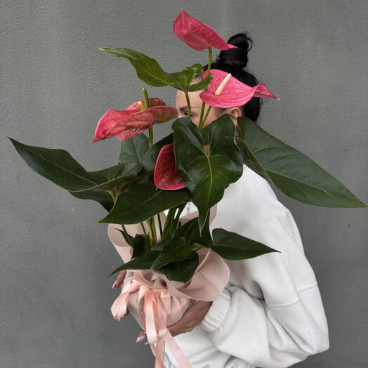 Botanee by