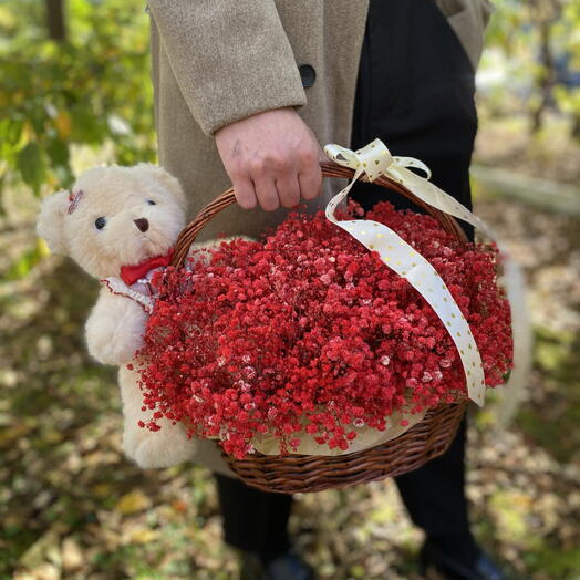Подарок для нее ️🐻Гипсофила + мишка