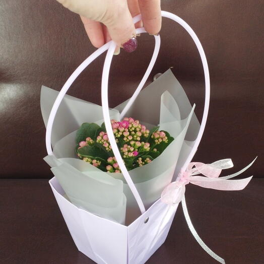 Nataliflowers24 Студия цветов