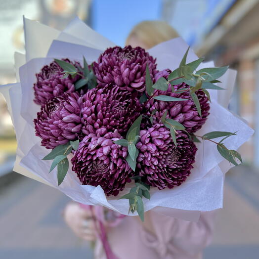 Сезонные хризантемы БИГУДИ в винном оттенке 7 шт 💜🫶🏻