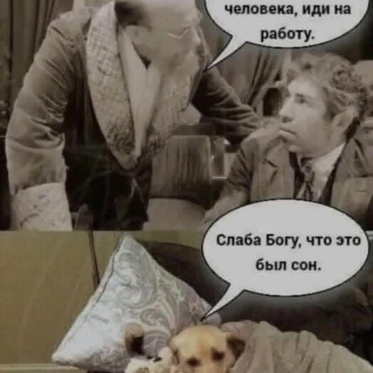 Неошоп регресс