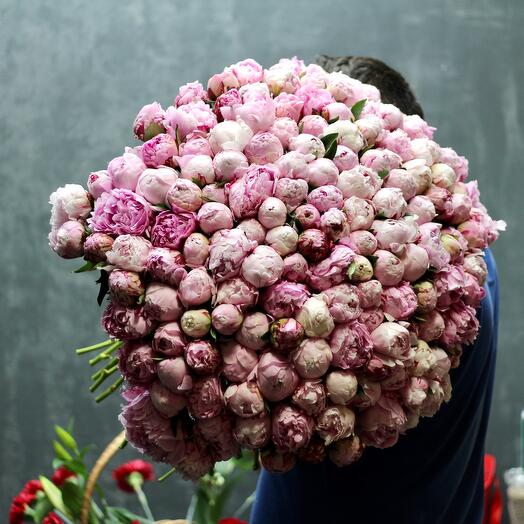 101 peonies