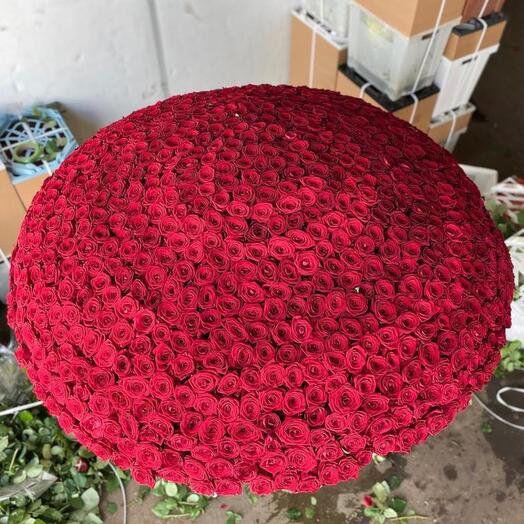 😍1001 розы в корзине 🌹