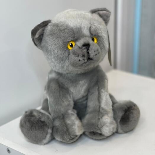 Blue Cat