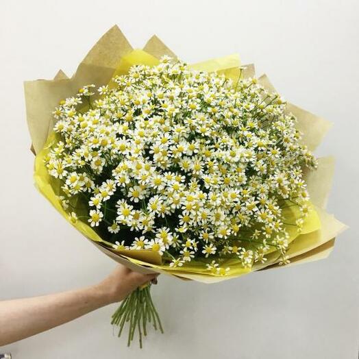 21 chamomile