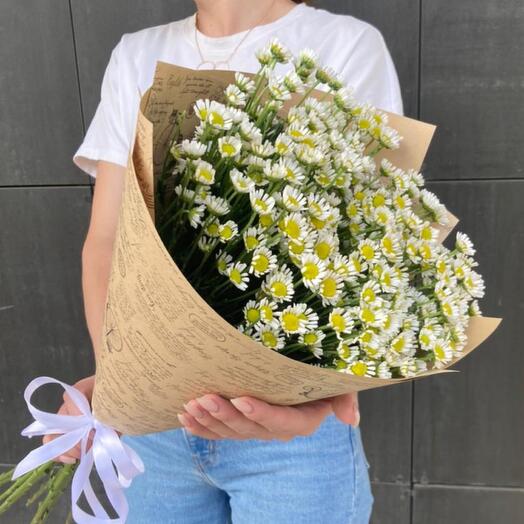 Bouquet of chamomile