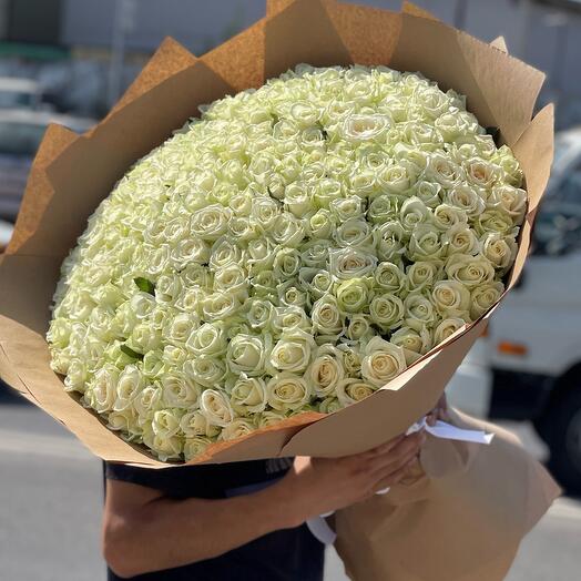 Роза белая