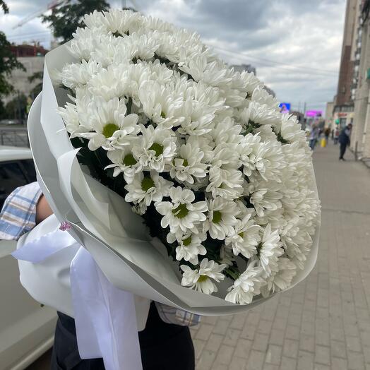 Хризантема ромашковидная в дизайнерском оформлении