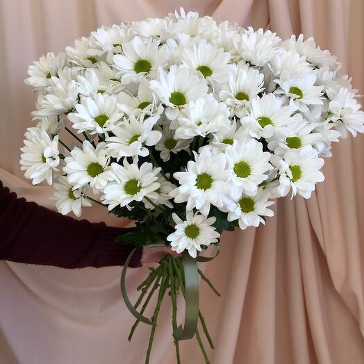 Bouquet of white Chrysanthemums "chamomile"