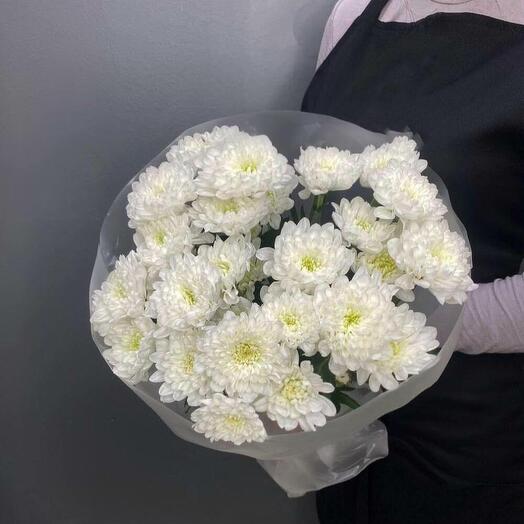 5 bush chrysanthemums