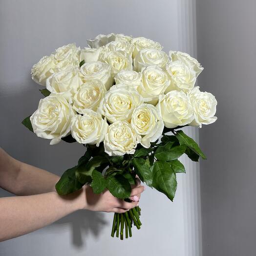 Белые розы Эквадор 19
