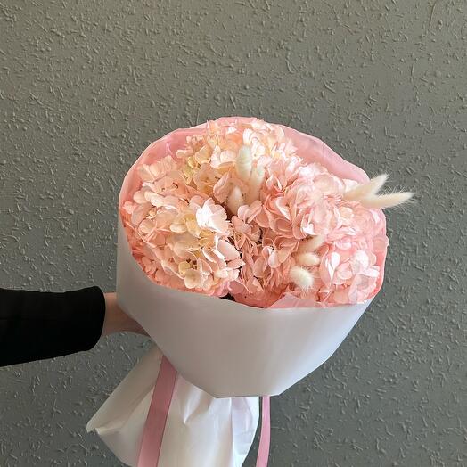 Hortensia y lagurus